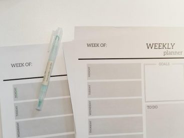 hsr pure fiction guide